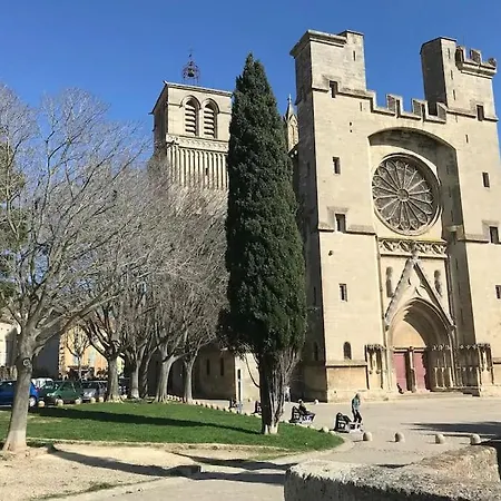 Cathedrale Centre Historique דירה